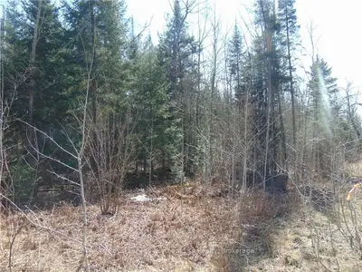 SEV. LOT 1 LOT 19 CON 10 PAPINEAU Road, Papineau-Cameron, ON P0H 1V0