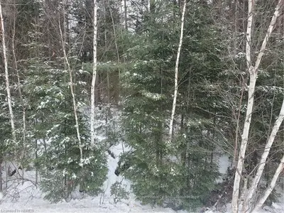 PT LT 6 CON 10 NIPISSING HWY 654, Nipissing, ON, P0H 1Z0