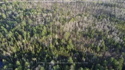 8129 HWY 17 E LOT B, Calvin, ON, P0H 0B1