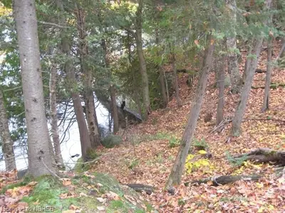 Pt. Lt. 19-20 Ahmic Lake Road, Magnetawan, On P0a 1p0
