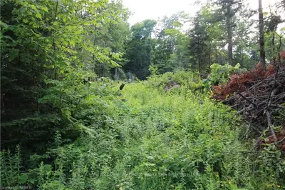 LOT 28 GREENWOOD Road, Bonfield, ON P0H 1E0