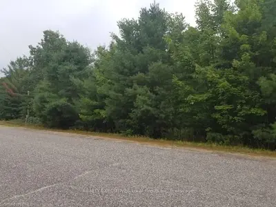 0 MOUNTAIN Road, East Ferris, ON P0H 1H0