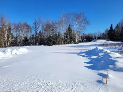 370 BURRITT'S Road, Papineau-Cameron, ON P0H 1V0