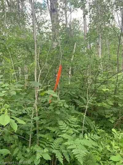 PCL 13277 LAFRENIERE Road Lot B, West Nipissing, ON P0H 1R0