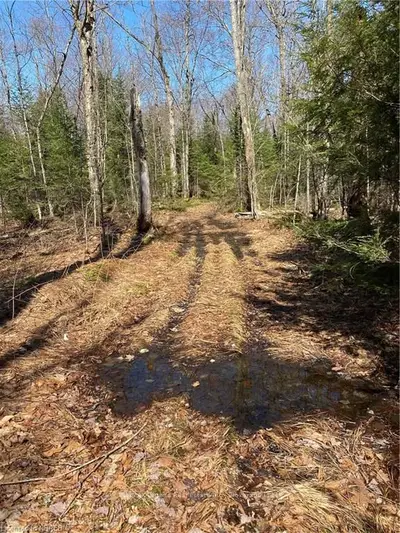 3292(B) HIGHWAY 534 , Nipissing, ON P0H 2R0