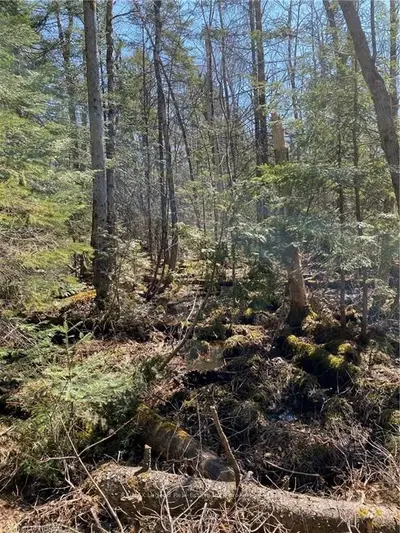 3292(C) HIGHWAY 534 , Nipissing, ON P0H 2R0