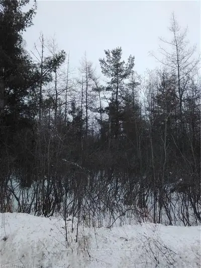 0 MUSKEG Road, Nipissing, ON P0H 1H0