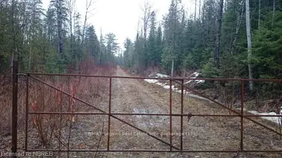 Lot 20 Conc 14 Papineau, Papineau-cameron, On, P0h 1v0