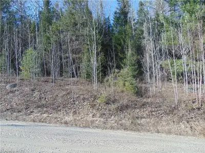 0 HOMESTEAD Road, Calvin, ON P0H 1V0