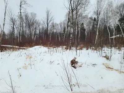 453 QUESNEL Road, West Nipissing, ON P2B 0B6