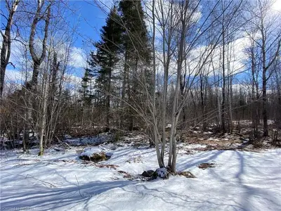 0 OLD HIGHWAY 17 Road, Papineau-Cameron, ON P0H 1V0