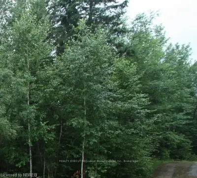 500 Rye Road, Nipissing, On, P0h 1w0