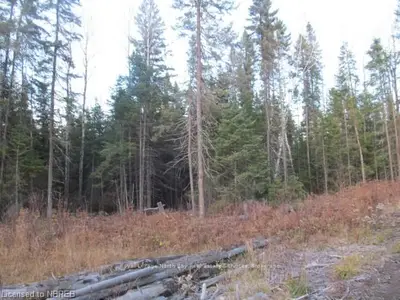 0 Sturgeon Lake Road, Papineau-cameron, On P0h 1v0