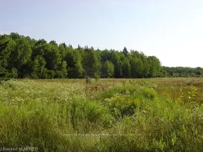 Pt Lot 6 Maple Road, Bonfield, On P0h 1e0