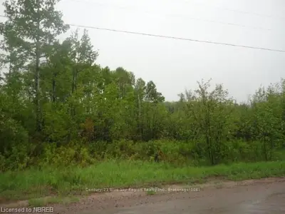 0 Johnson Road, East Ferris, On P0h 1k0