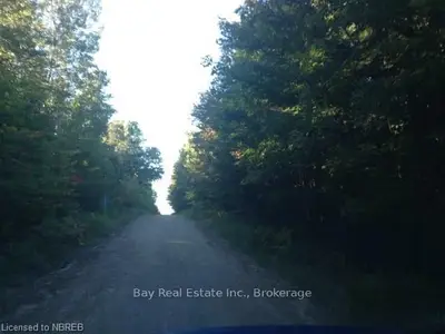 0 Fichault Road, Bonfield, On P0h 2e0