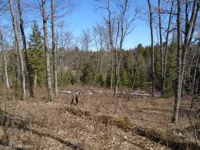 Lot 10 Rye Road, Parry Sound Remote Area, On P0a 1x0