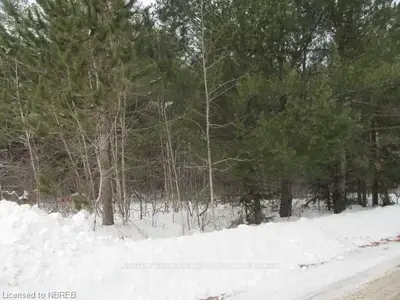 0 Hwy 17, Papineau-cameron, On, P0h 1v0