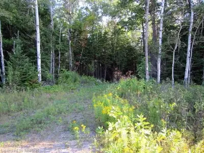 Pt Lot 12 Conc C Hwy 63, North Bay, On, P1b 8g4