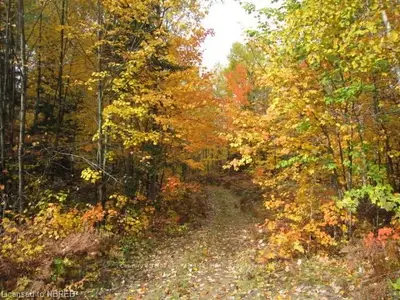 281 Pike Lake Road, West Nipissing, On P0h 1m0