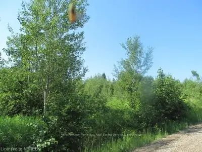 0 Mcormond Road, Papineau-cameron, On P0h 1v0