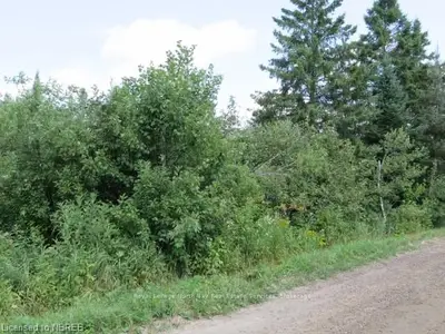 0 Lavigne Road, East Ferris, On P0h 1k0