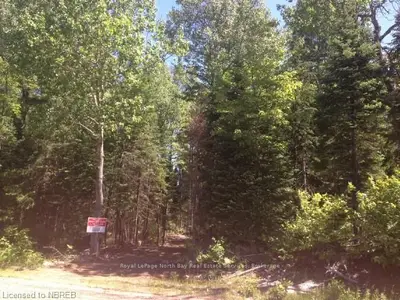 Pt Lot 37 Con 3, Powassan, On, P0h 2l0