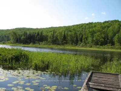 109 Pine Lake Road, Bonfield, On P0h 2e0
