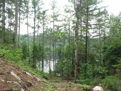 Lot 26 (part 1) Old Hwy 17, Papineau-cameron, On, P0h 1v0