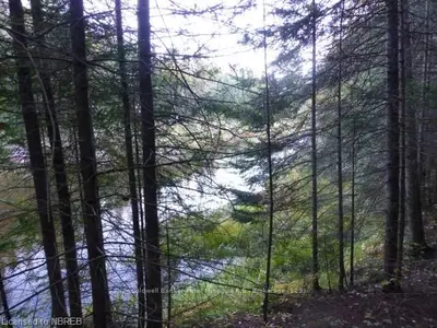 Lot 13 Hwy 531, Bonfield, On, P0h 1e0