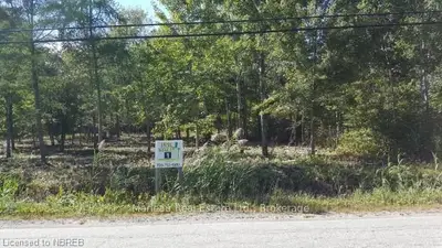Lot 1 Nipissing Street, West Nipissing, On P2b 2l1