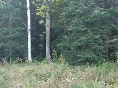Lot 16 Riverside Drive, Bonfield, On P0h 1e0