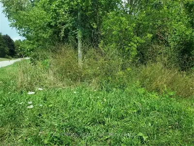 LOT D, PT LTS G & E NORTH Street, Bayham, ON N0J 1Z0