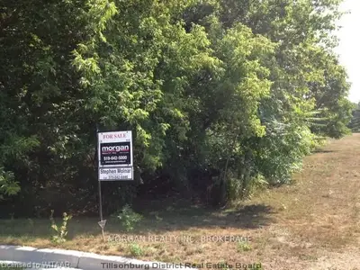 16 Northview Drive, Tillsonburg, On N4g 1m3
