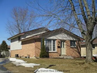 20 Centennial Avenue, Tillsonburg, On N4g 4r6
