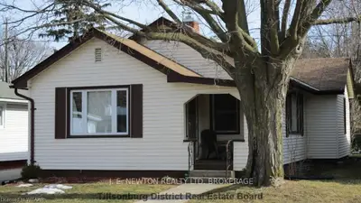 46 Denton Avenue, Tillsonburg, On N4g 3w6