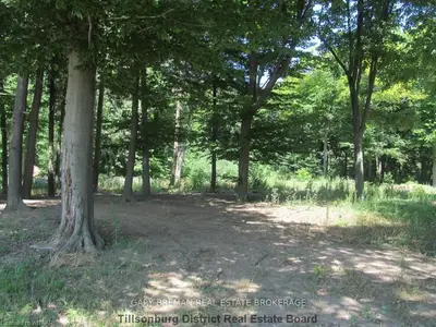 Lot 21 Norfolk County Rd 13, Norfolk, On, N0j 1e0