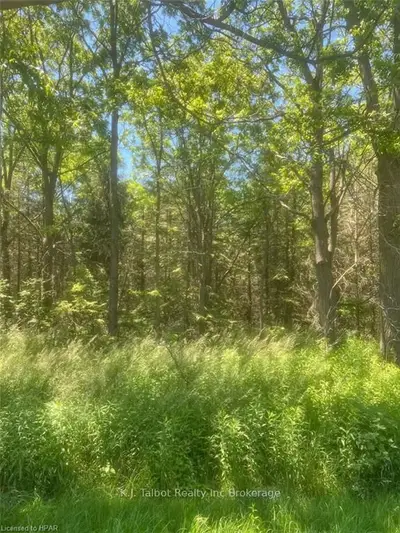 Vacant Land in Cramahe