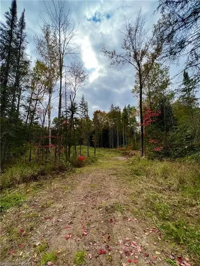 1759 Alsace Road, Nipissing, On P0h 1z0