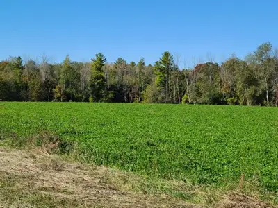 Vacant Land in Morris Turnberry