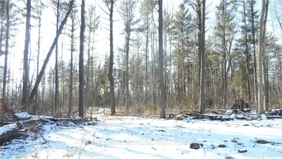 84664 LANESVILLE Line, Ashfield-Colborne-Wawanosh, ON N0M 1R0