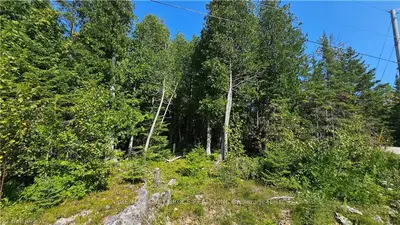 Vacant Land in Northern Bruce Peninsula