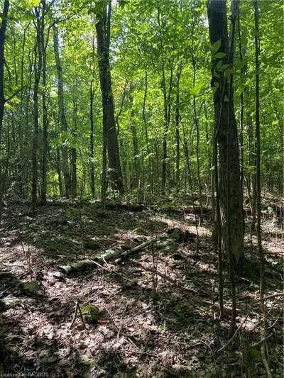 Pt Lt 3 Georgian Range Grey Road 1, Georgian Bluffs, On, N0h 2k0
