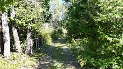 Vacant Land in Northern Bruce Peninsula