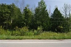PT LT 12 COLPOYS RANGE Road, Georgian Bluffs, ON N0H 2T0