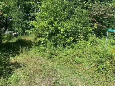 Vacant Land in Georgian Bluffs