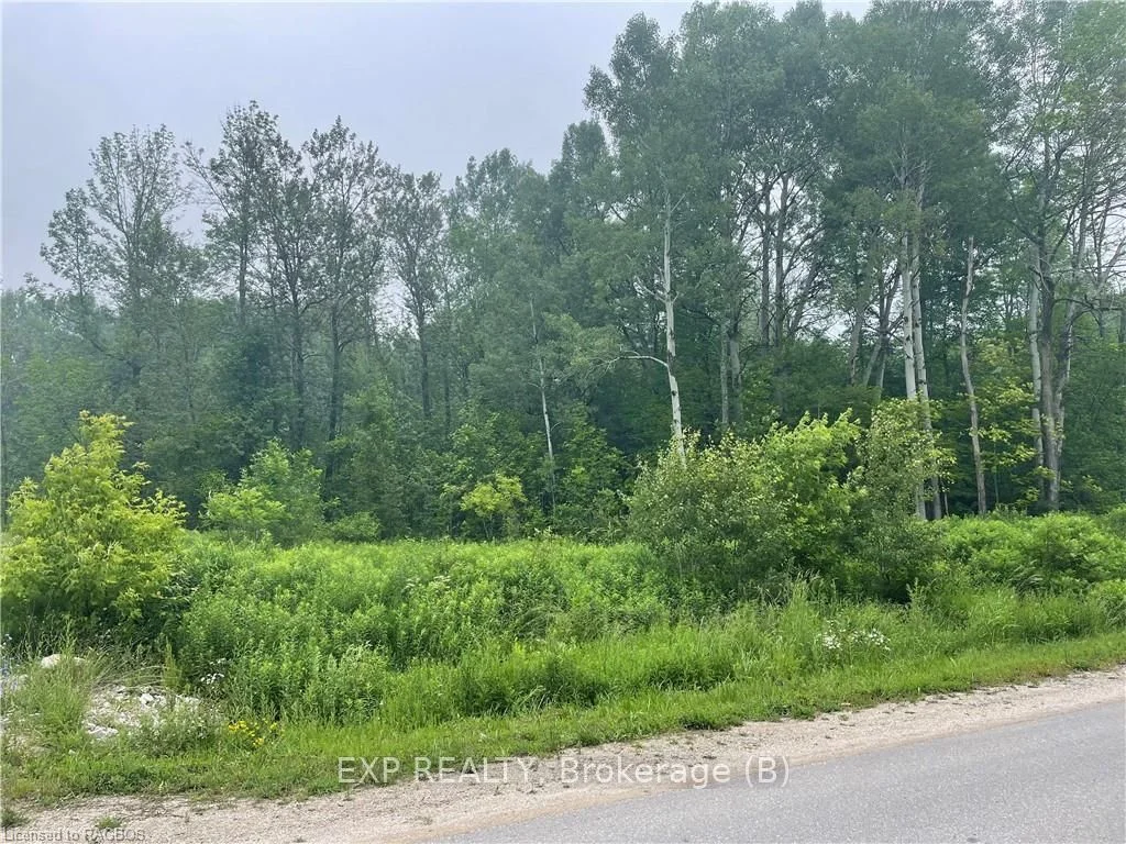 Vacant Land in Georgian Bluffs