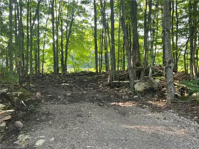 Pt Lt 24 Unopened Rd All, South Bruce Peninsula, On, N0h 2t0