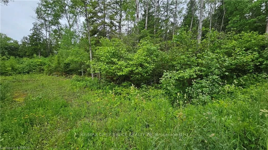 PT LT 35 HARDWICK COVE Road, Northern Bruce Peninsula, ON N0H 1W0