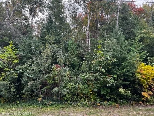 3 Shore Road, Saugeen Shores, On N0h 2l0